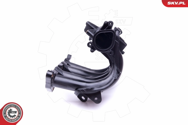 ESEN SKV 49SKV044 Intake Manifold Module