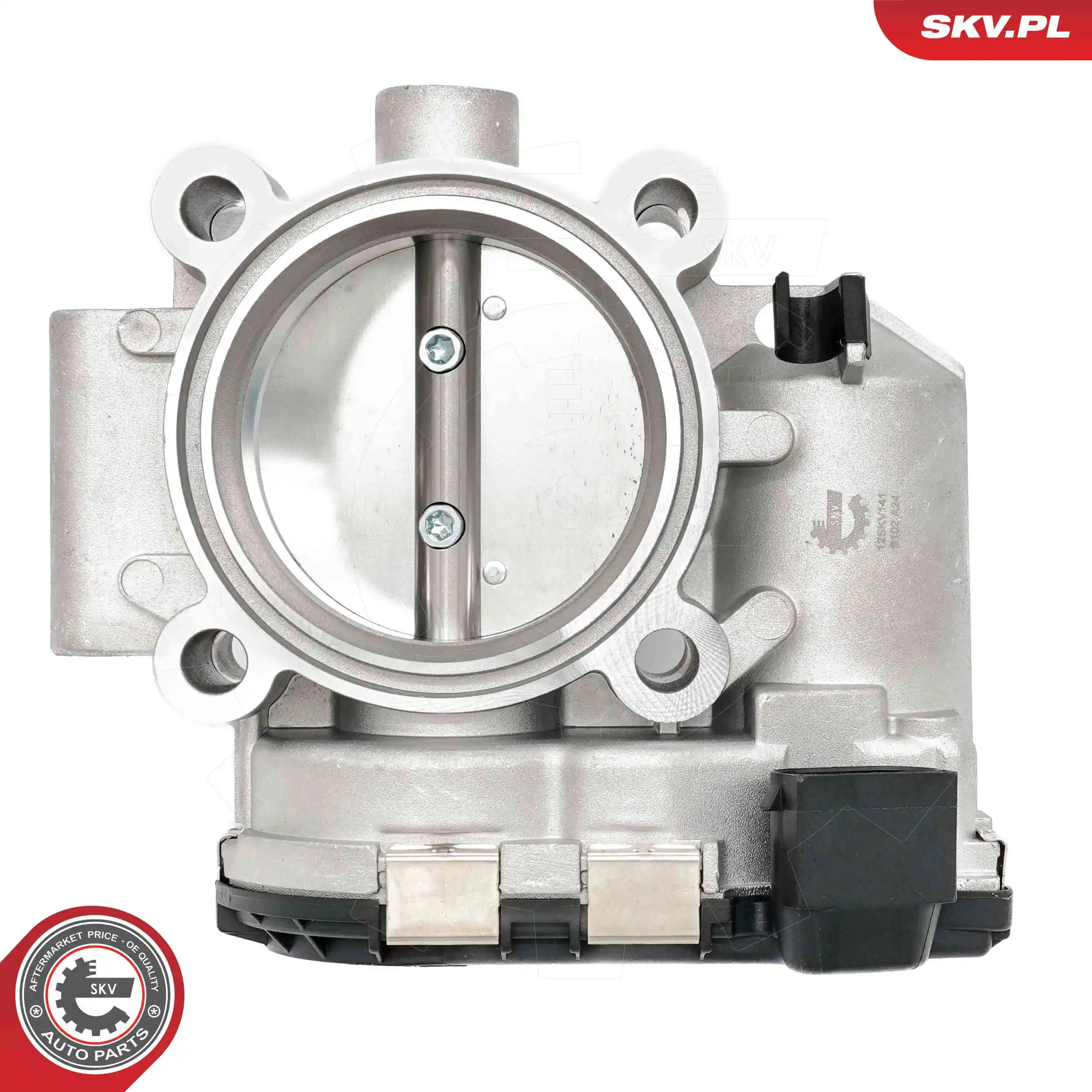 Throttle Body 12SKV141