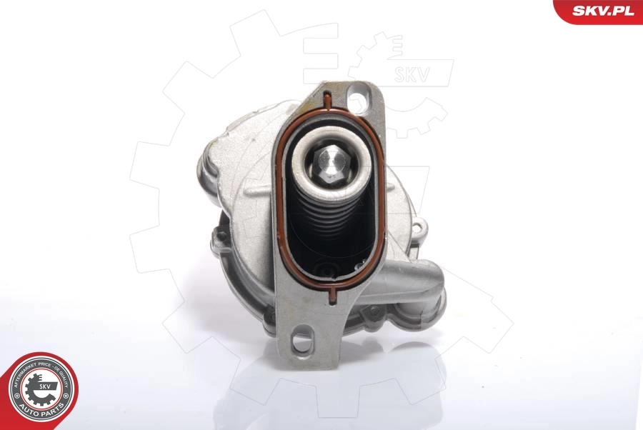 Vacuum Pump, braking system 18SKV008