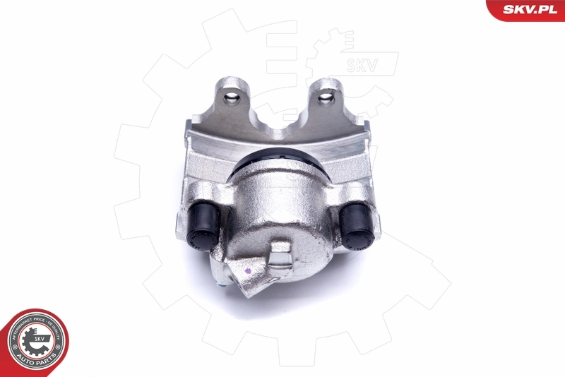 Brake Caliper 42SKV321