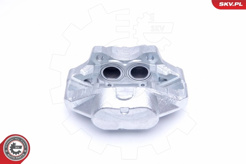 Brake Caliper 45SKV502