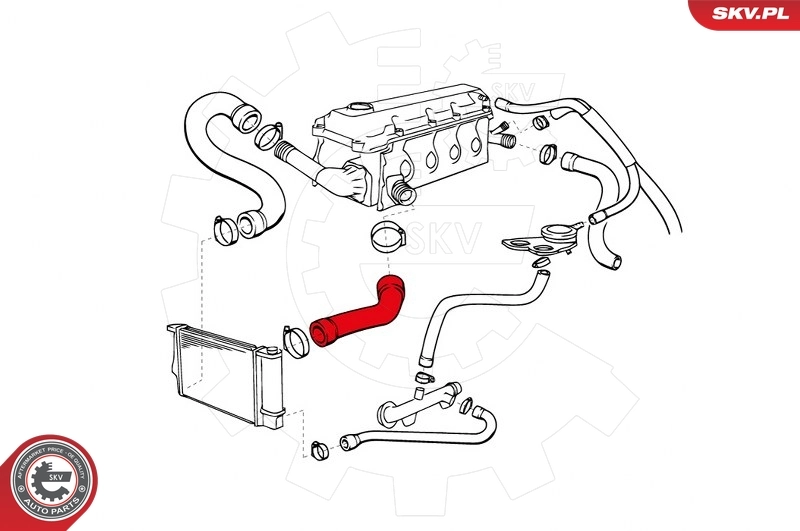 Radiator Hose 43SKV713