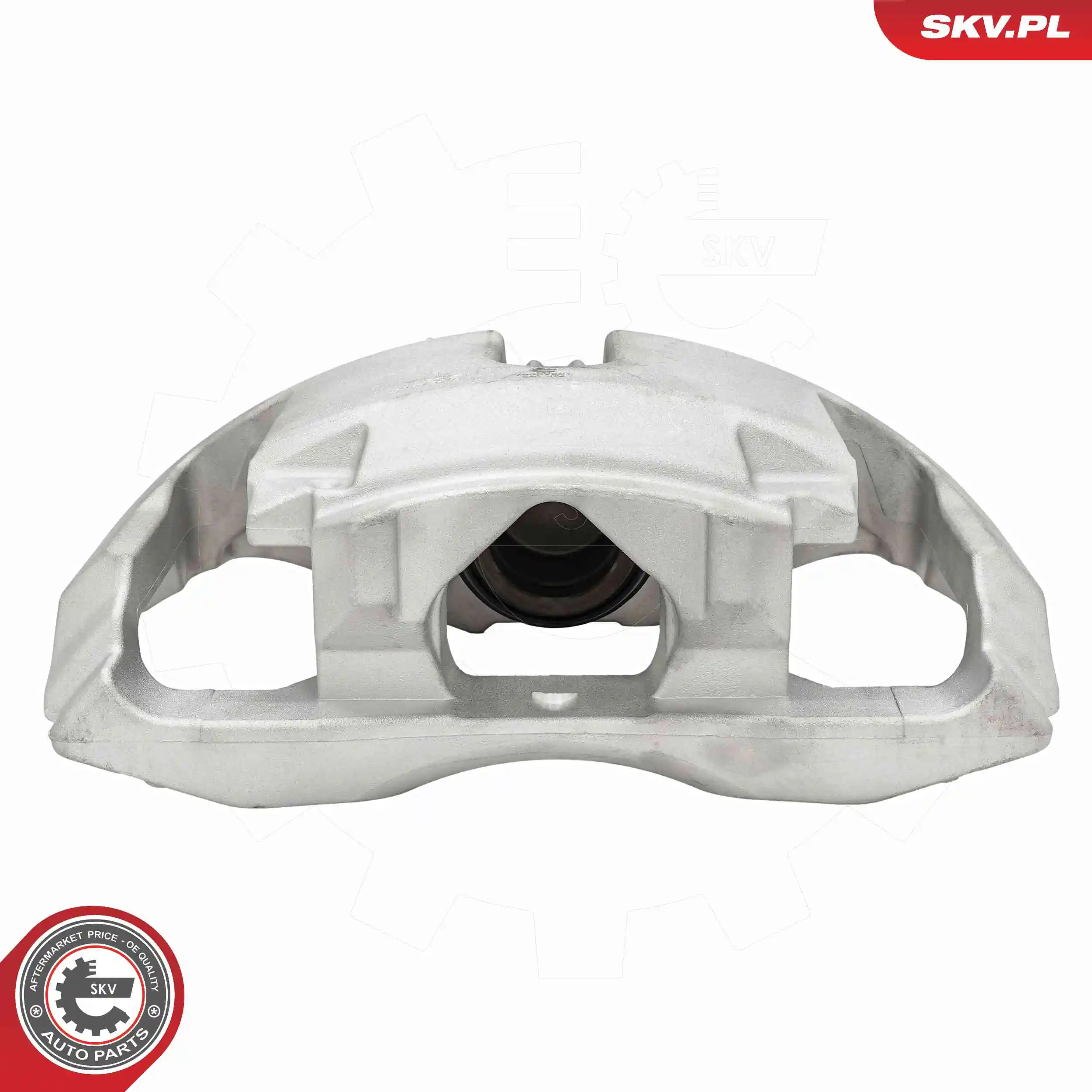 Brake Caliper 78SKV001