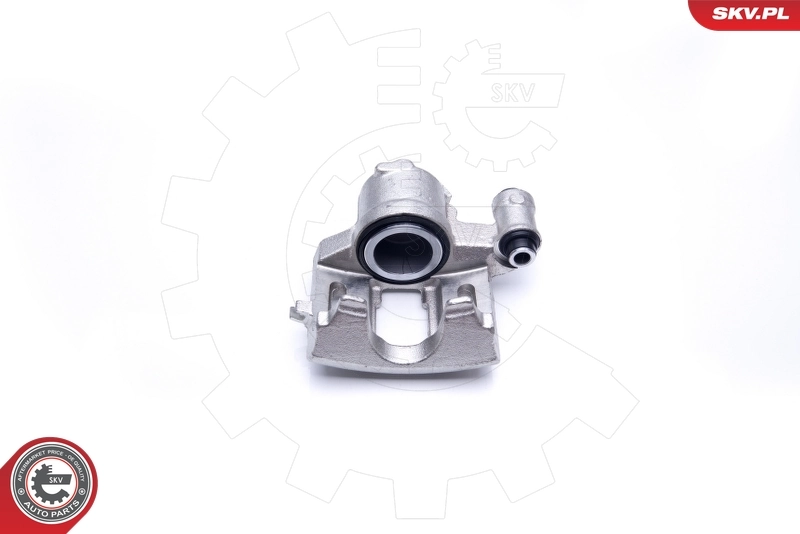 Brake Caliper 42SKV132