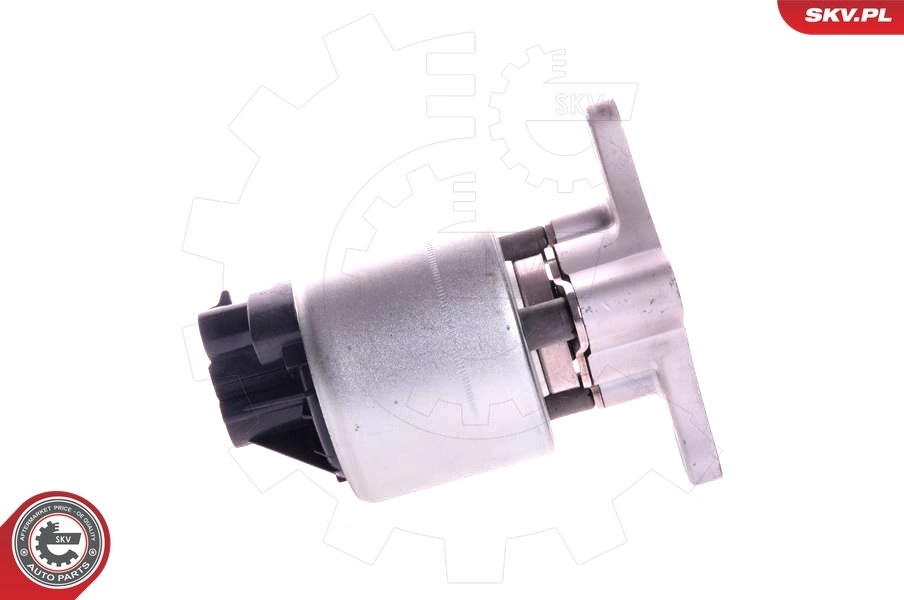 EGR Valve 14SKV002