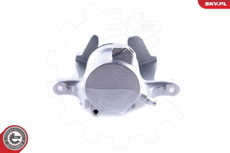 Brake Caliper 55SKV131