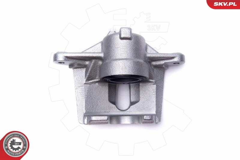 Brake Caliper 56SKV001