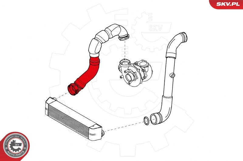 Charge Air Hose 24SKV719