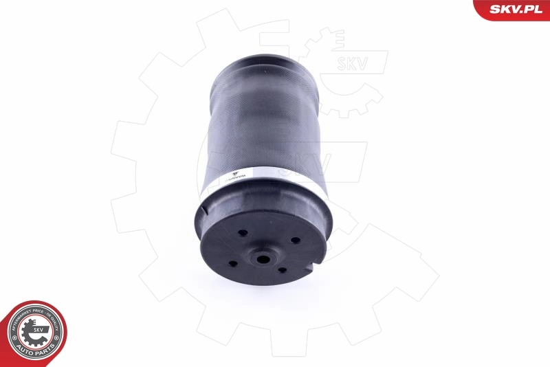 Air Spring, suspension 58SKV020