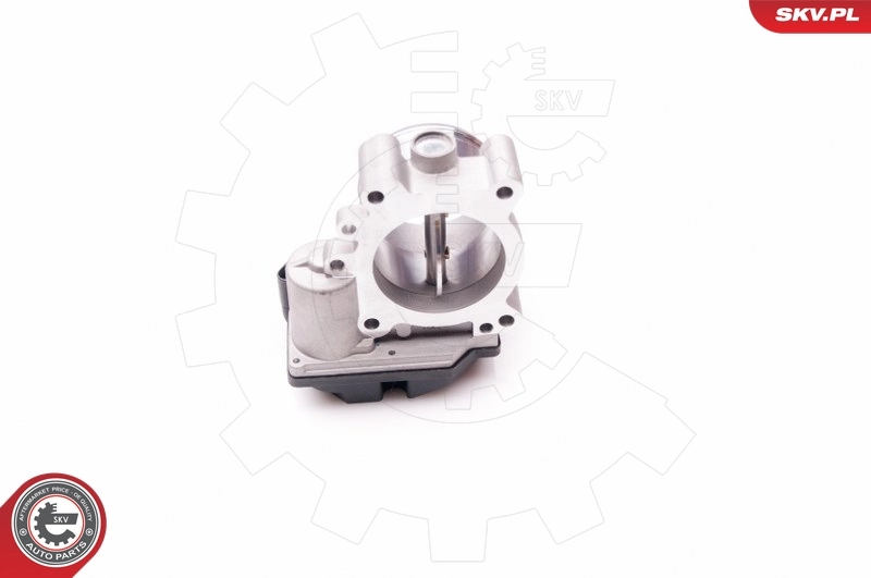 Throttle Body 12SKV060