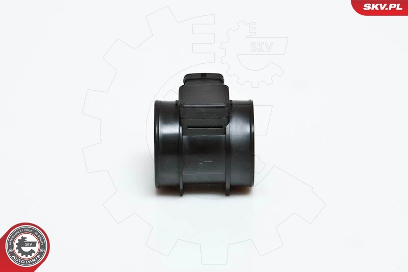 Medidor de la masa de aire 07SKV131