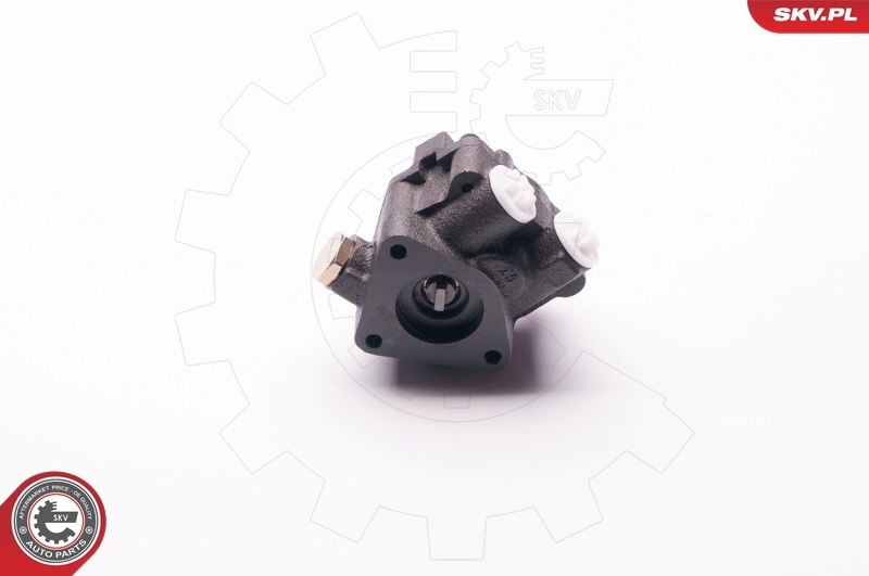 ESEN SKV 1SKV0009 Hydraulic Pump, steering