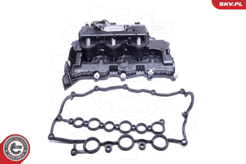 Intake Manifold Module 49SKV031