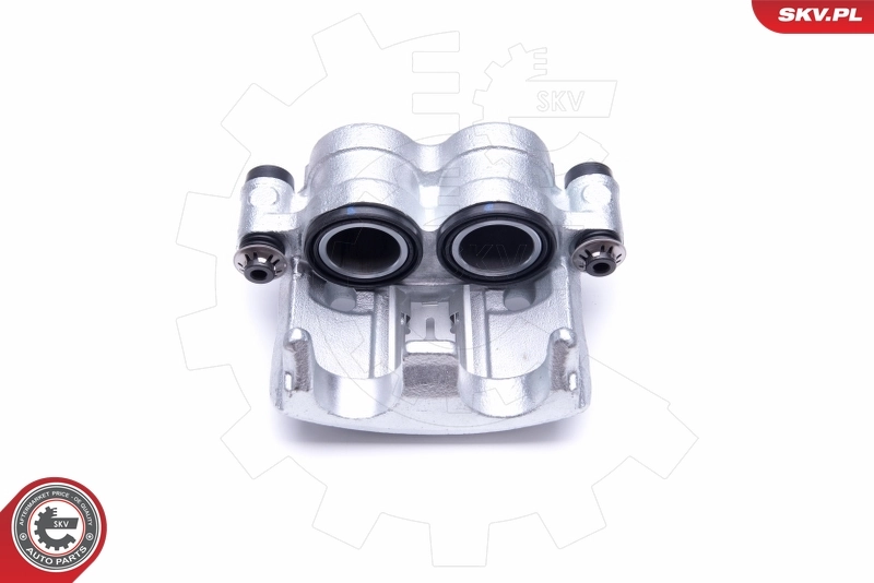Brake Caliper 46SKV182