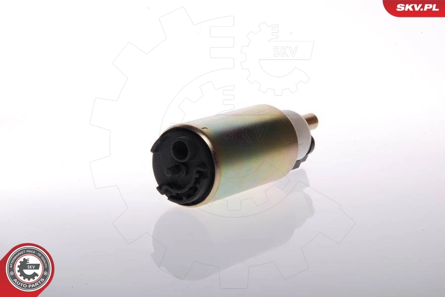Fuel Pump 02SKV205