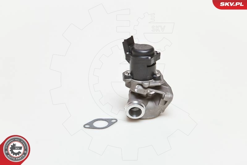 EGR Valve 14SKV027