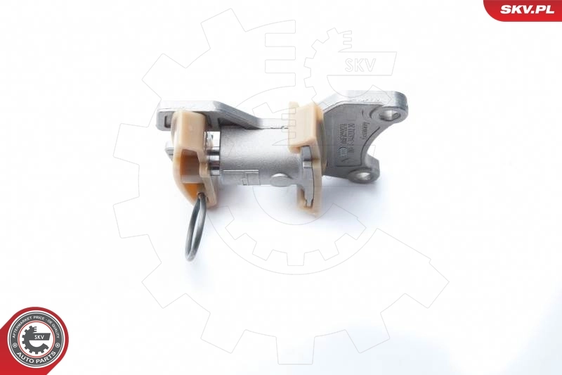 Timing Chain Kit 21SKV020