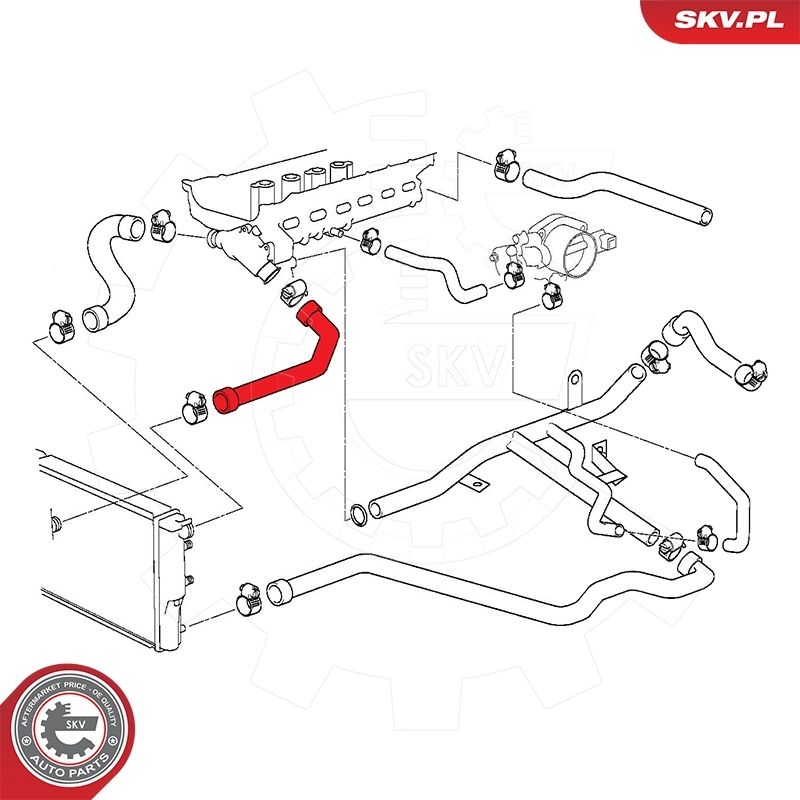 Radiator Hose 24SKV268