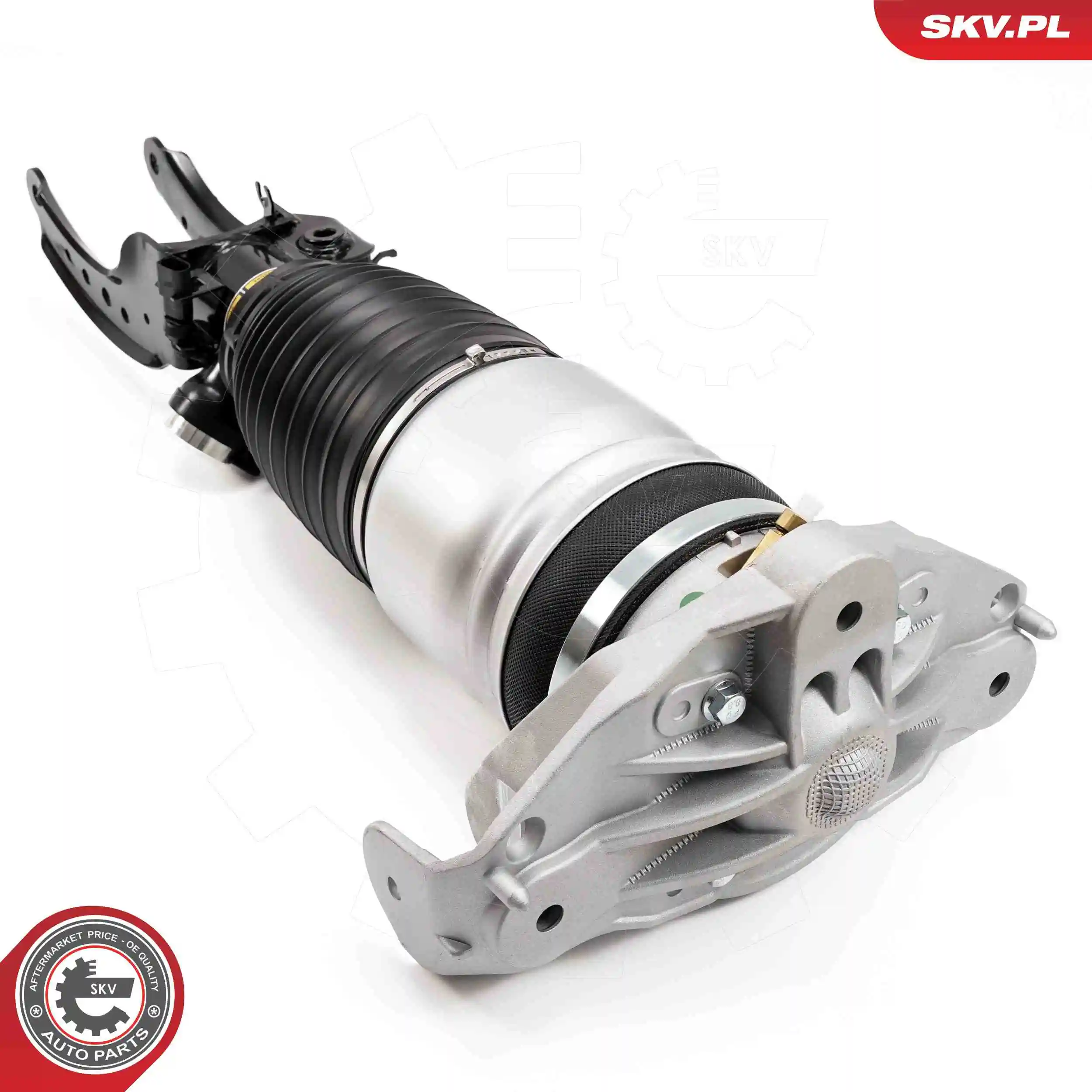 Air Suspension Strut 58SKV703