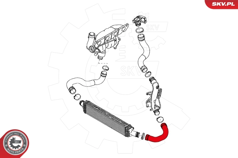 Charge Air Hose 24SKV119