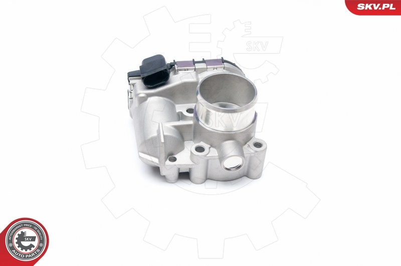 Throttle Body 12SKV043