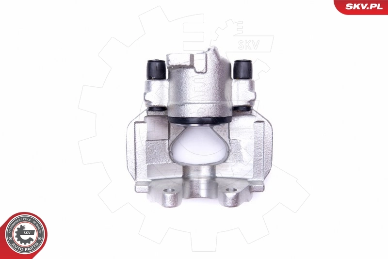 Brake Caliper 42SKV271