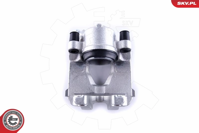Brake Caliper 55SKV252