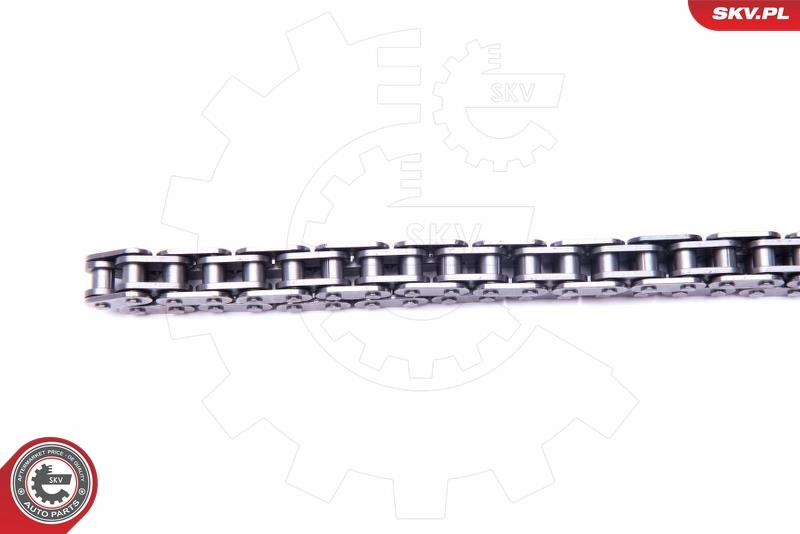 Timing Chain Kit 21SKV182