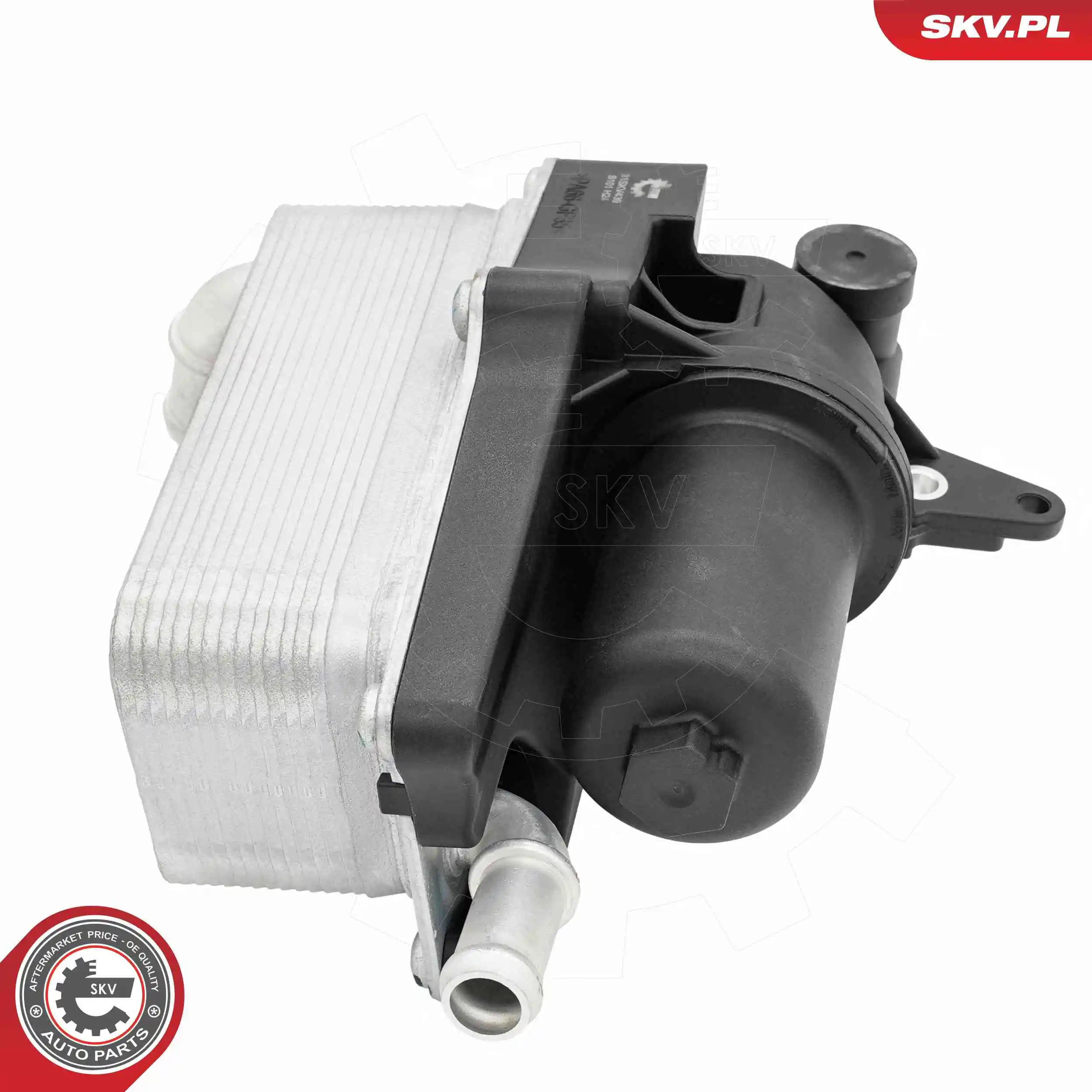 Oil Cooler, engine oil 31SKV439
