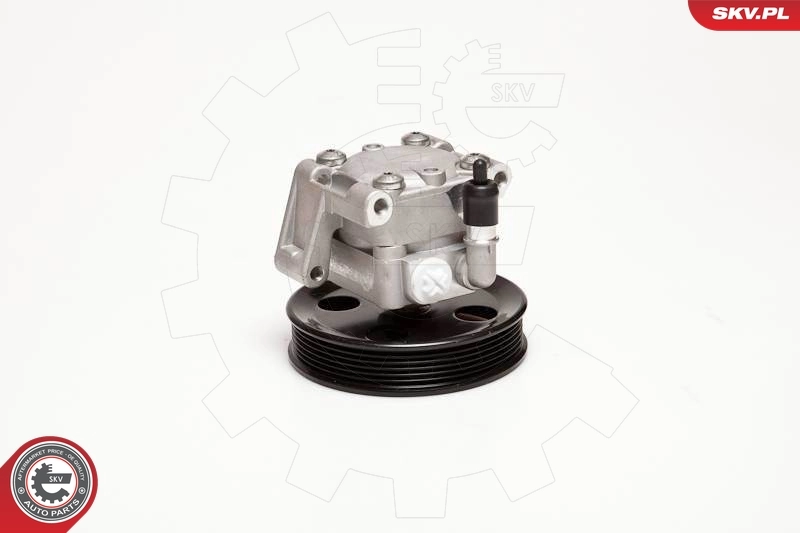 Hydraulic Pump, steering 10SKV050