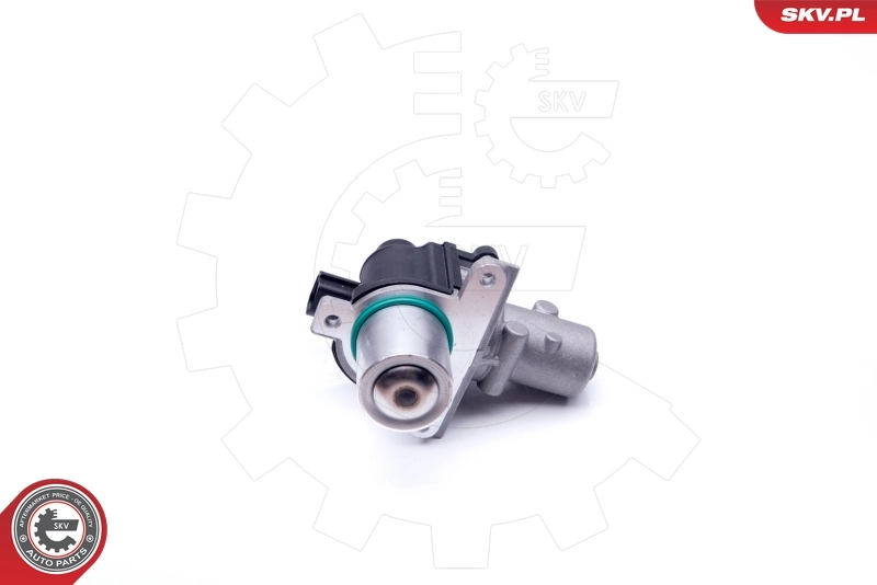 EGR Valve 14SKV163