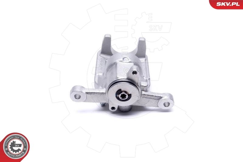 Brake Caliper 44SKV483