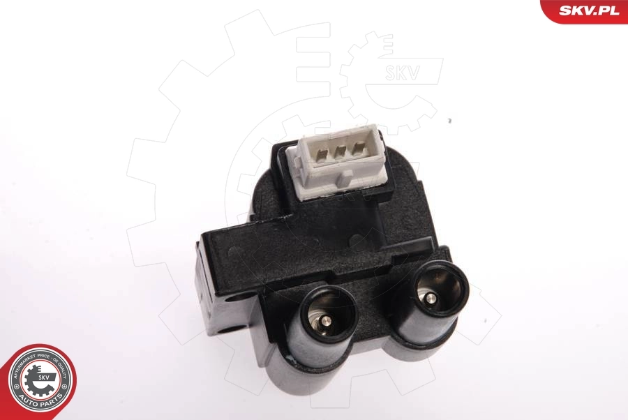 Ignition Coil 03SKV039
