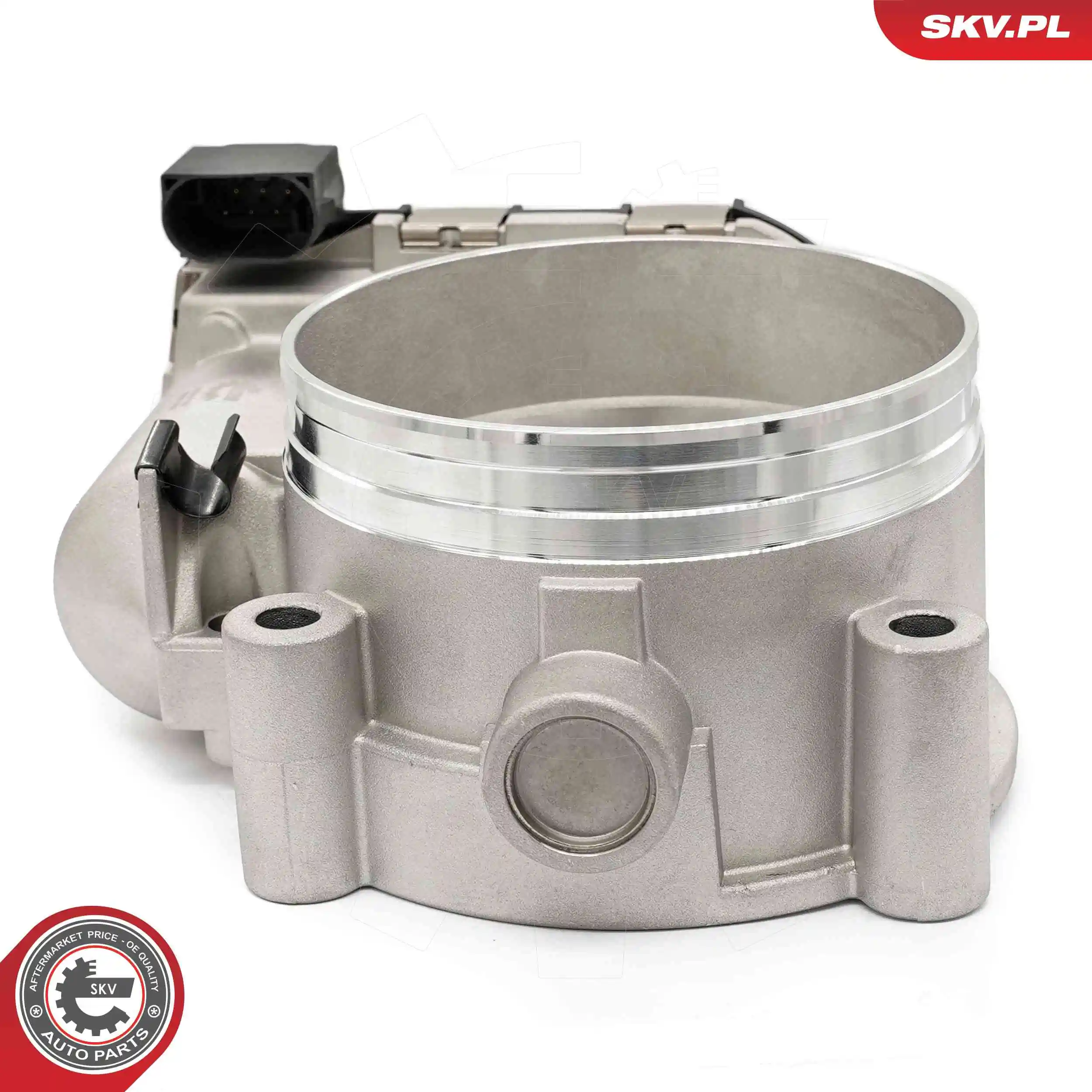 ESEN SKV 12SKV132 Throttle Body
