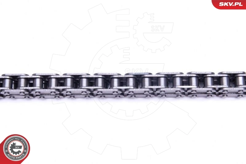 Timing Chain Kit 21SKV214
