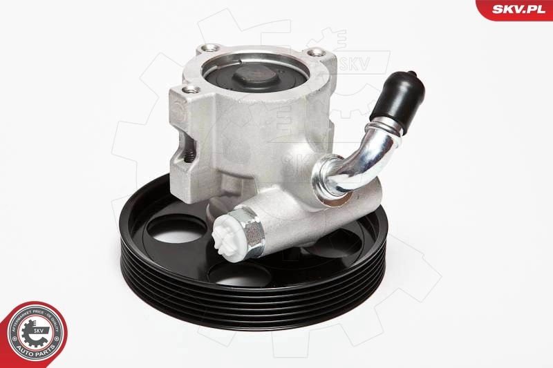 Hydraulic Pump, steering 10SKV002