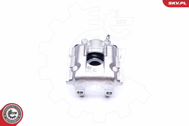 Brake Caliper 34SKV044