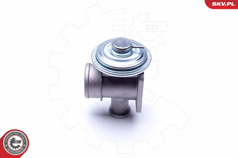 EGR Valve 14SKV179