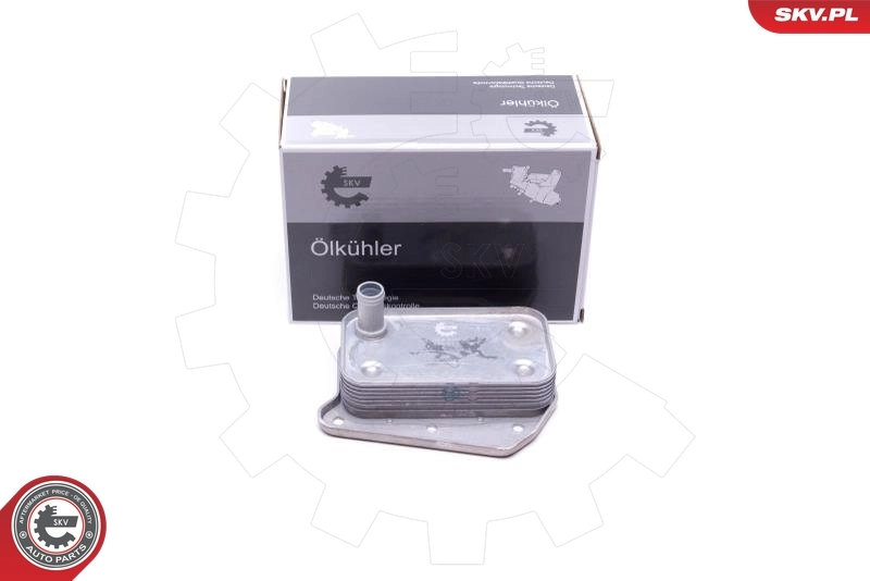 Oil Cooler, engine oil 31SKV216