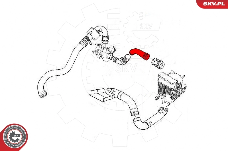 Charge Air Hose 24SKV826