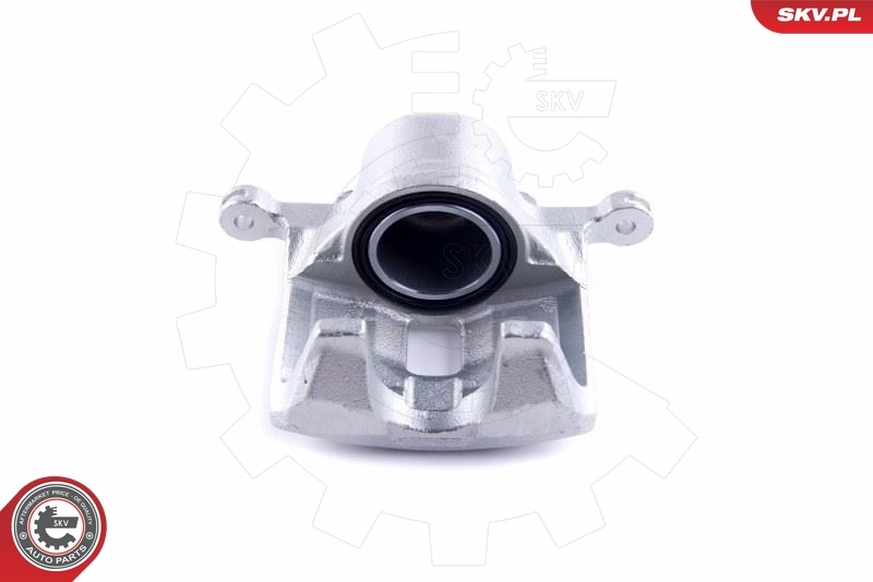 Brake Caliper 46SKV902