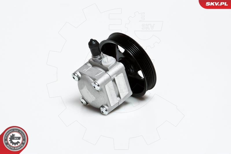 Hydraulic Pump, steering 10SKV027