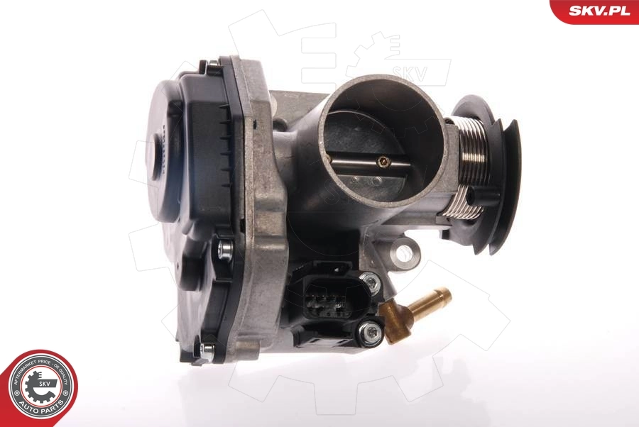 ESEN SKV 12SKV014 Throttle Body