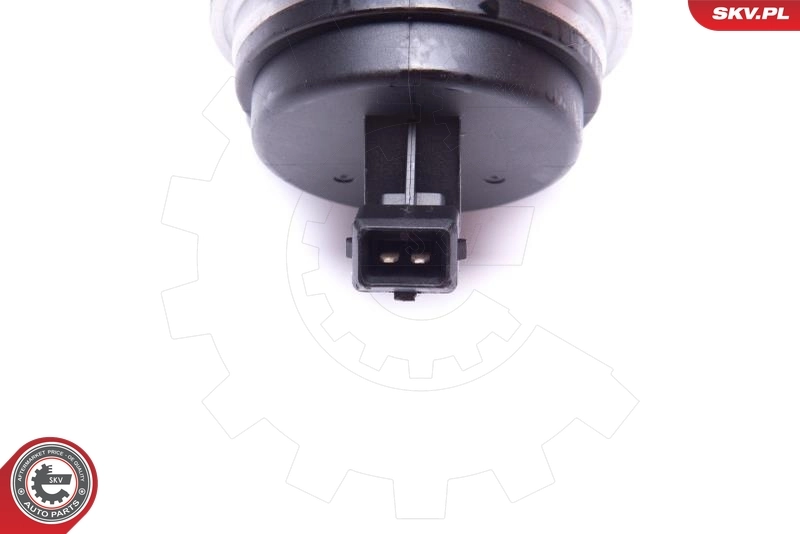 Wheel Bearing Kit 29SKV556