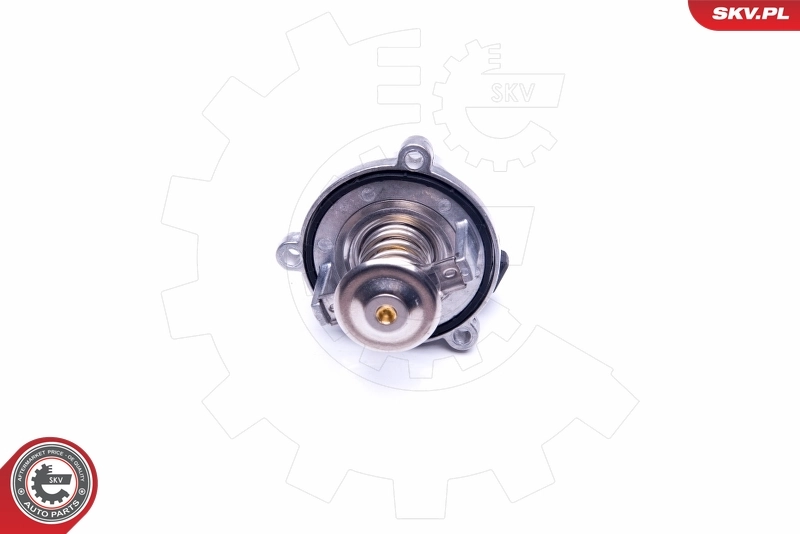 Thermostat, coolant 20SKV063