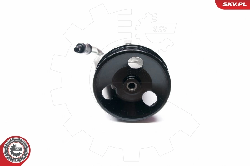 Hydraulic Pump, steering 10SKV206