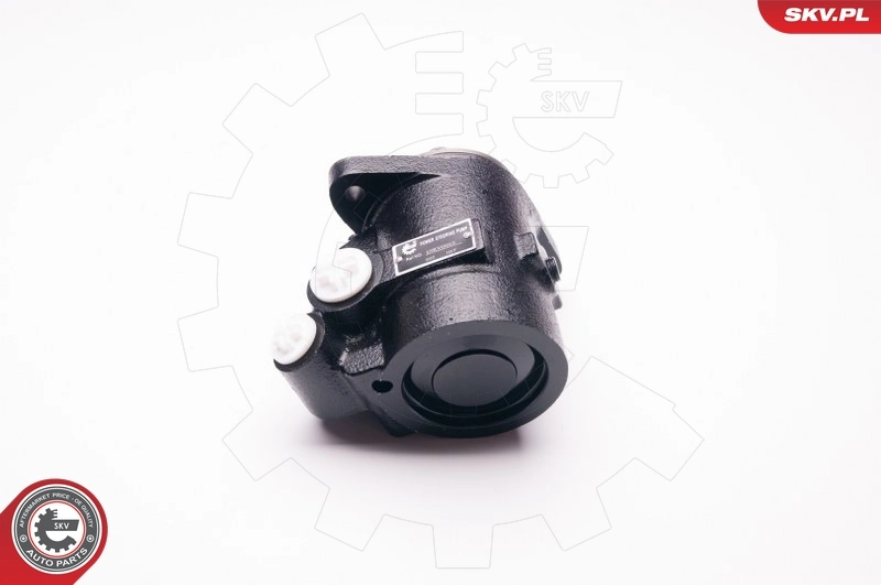 ESEN SKV 1SKV0013 Hydraulic Pump, steering