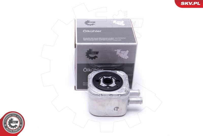 Oil Cooler, engine oil 31SKV205