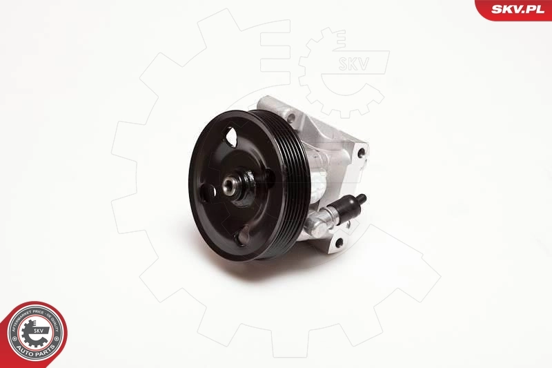 Hydraulic Pump, steering 10SKV001