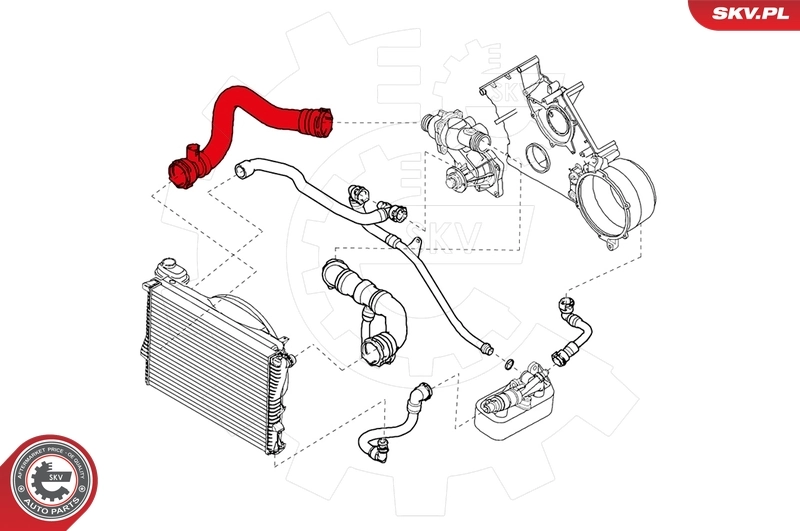 Radiator Hose 24SKV251